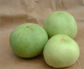 Apple gourd (Tinda) Supply