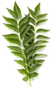 Curry Leaves - Grade A ,100 gm , 250 gm Discount