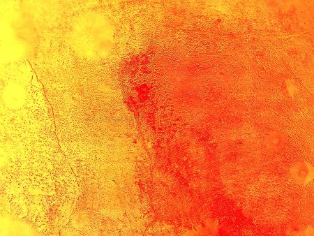 Yellow and Orange in Harmony by Our Original Collection - Hand-Painted Oil Painting on Canvas Online