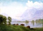 Buffalo Country by Albert Bierstadt - Hand-Painted Oil Painting on Canvas Online now