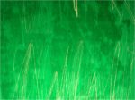 Green Grass Abstract by Our Original Collection - Hand-Painted Oil Painting on Canvas For Discount