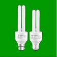 Surya CFL Online