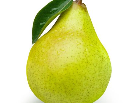 Pear Indian - Green Online now