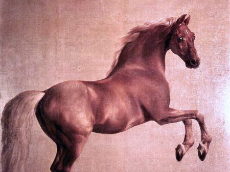 Whistlejacket by George Stubbs - Hand-Painted Oil Painting on Canvas on Sale