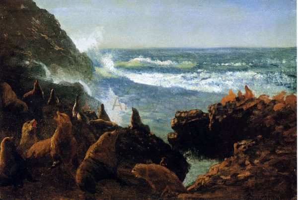 Sea Lions, Farallon Islands by Albert Bierstadt - Hand-Painted Oil Painting on Canvas Fashion