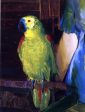 A Parrot by George Wesley Bellows - Hand-Painted Oil Painting on Canvas For Sale