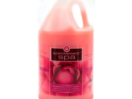 Spa Scentament Caressing Puppy Wash Wild Orchid & Vanilla - Gal For Cheap