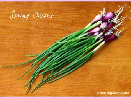 Spring Onion (vasant pyaz) - Fresh , 1 nos Supply