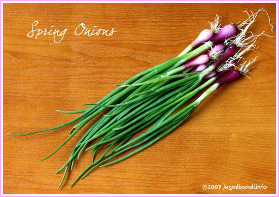 Spring Onion (vasant pyaz) - Fresh , 1 nos Supply