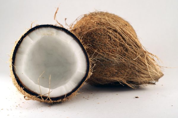 Coconut - Large, 1 nos Online