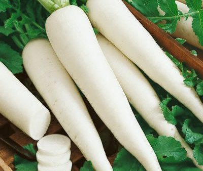 Radish White - Grade A , 500 gm ,1 kg Cheap