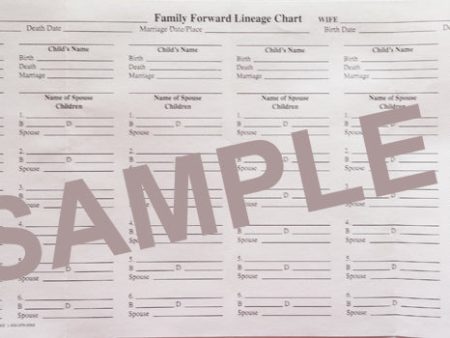 Mini Binder refill - Family Forward Lineage form (FF) Online Sale