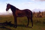 Portrait of a Horse by Albert Bierstadt - Hand-Painted Oil Painting on Canvas Cheap