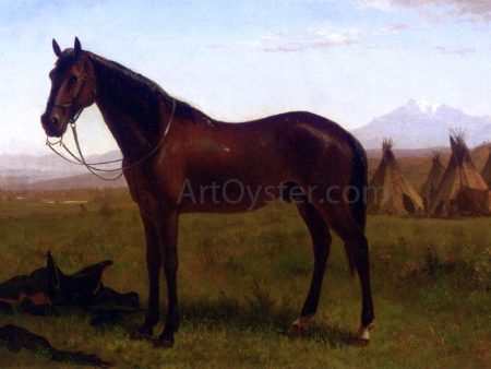 Portrait of a Horse by Albert Bierstadt - Hand-Painted Oil Painting on Canvas Cheap