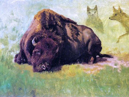 Bison with Coyotes in the Background by Albert Bierstadt - Hand-Painted Oil Painting on Canvas For Cheap