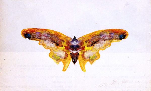 The Butterfly by Albert Bierstadt - Hand-Painted Oil Painting on Canvas Supply