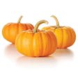 Pumpkin - Disco, 1 nos (Around 2 kg) For Discount