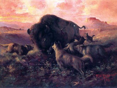 The Wounded Buffalo by Frank Tenney Johnson - Hand-Painted Oil Painting on Canvas Sale