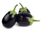 Brinjal Nagpur Discount