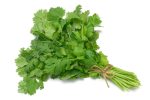 Coriander Online Sale