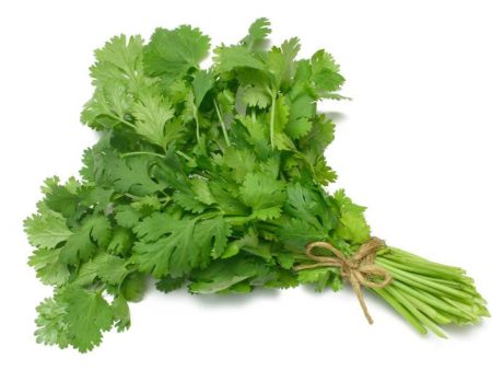 Coriander Online Sale