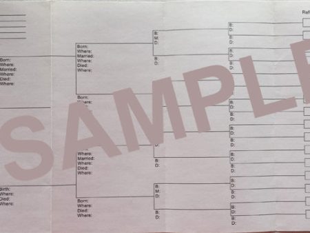 Mini Binder refill - Pedigree Chart form (LC) Discount