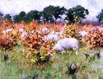 Grazing Sheep by George Hitchcock - Hand-Painted Oil Painting on Canvas Online Sale