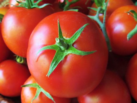 Tomato Hybrid - Grade A Sale