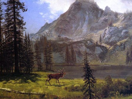 Call of the Wild by Albert Bierstadt - Hand-Painted Oil Painting on Canvas Online Sale