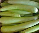 Bottle Gourd - (Big) Grade A Supply