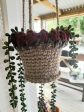 Hanging jute pot (claret rosebud) Cheap