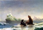 Seals by Albert Bierstadt - Hand-Painted Oil Painting on Canvas Hot on Sale