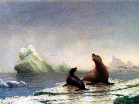 Seals by Albert Bierstadt - Hand-Painted Oil Painting on Canvas Hot on Sale