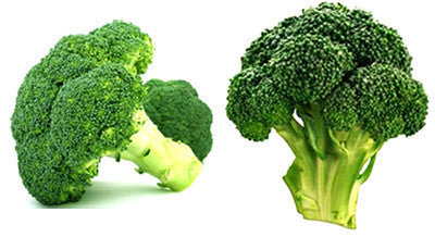 Broccoli - Fresh Hot on Sale