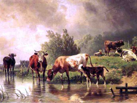 Cattle Watering by Stream under Darkening Skies by Fredrich Johann Voltz - Hand-Painted Oil Painting on Canvas Online Hot Sale