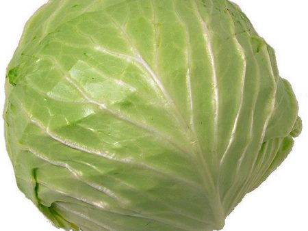 Cabbage (Patta Gobi) Small - Grade A, 1 kg Cheap