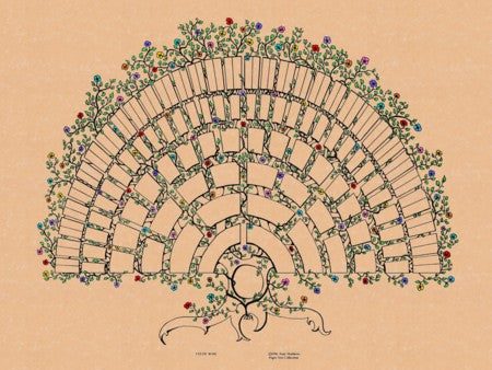 Celtic Rose Pedigree Chart - 7 generation Online Hot Sale